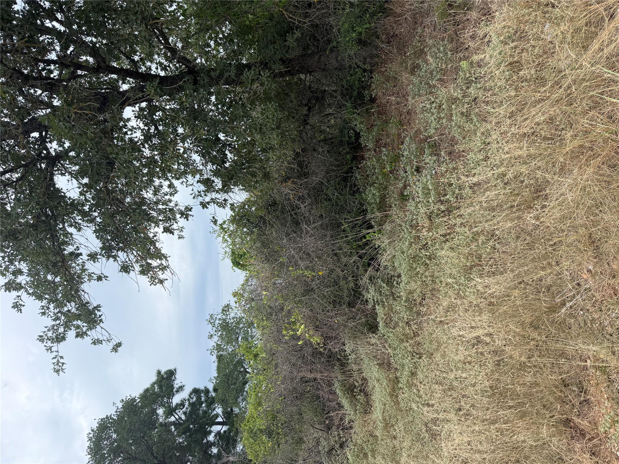 Lot 236 Kaelupulu DR — photo 3
