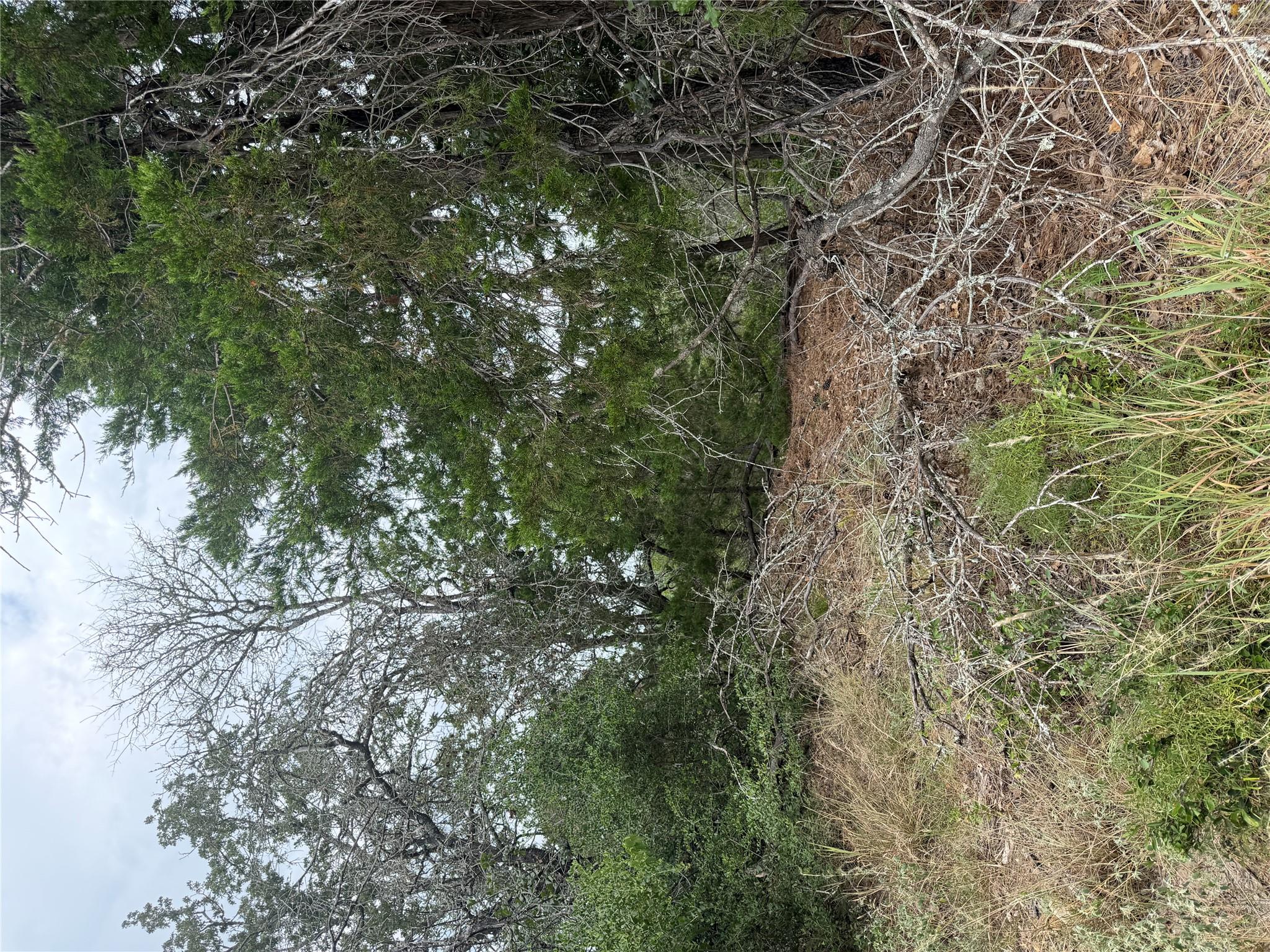 Lot 236 Kaelupulu DR — photo 4