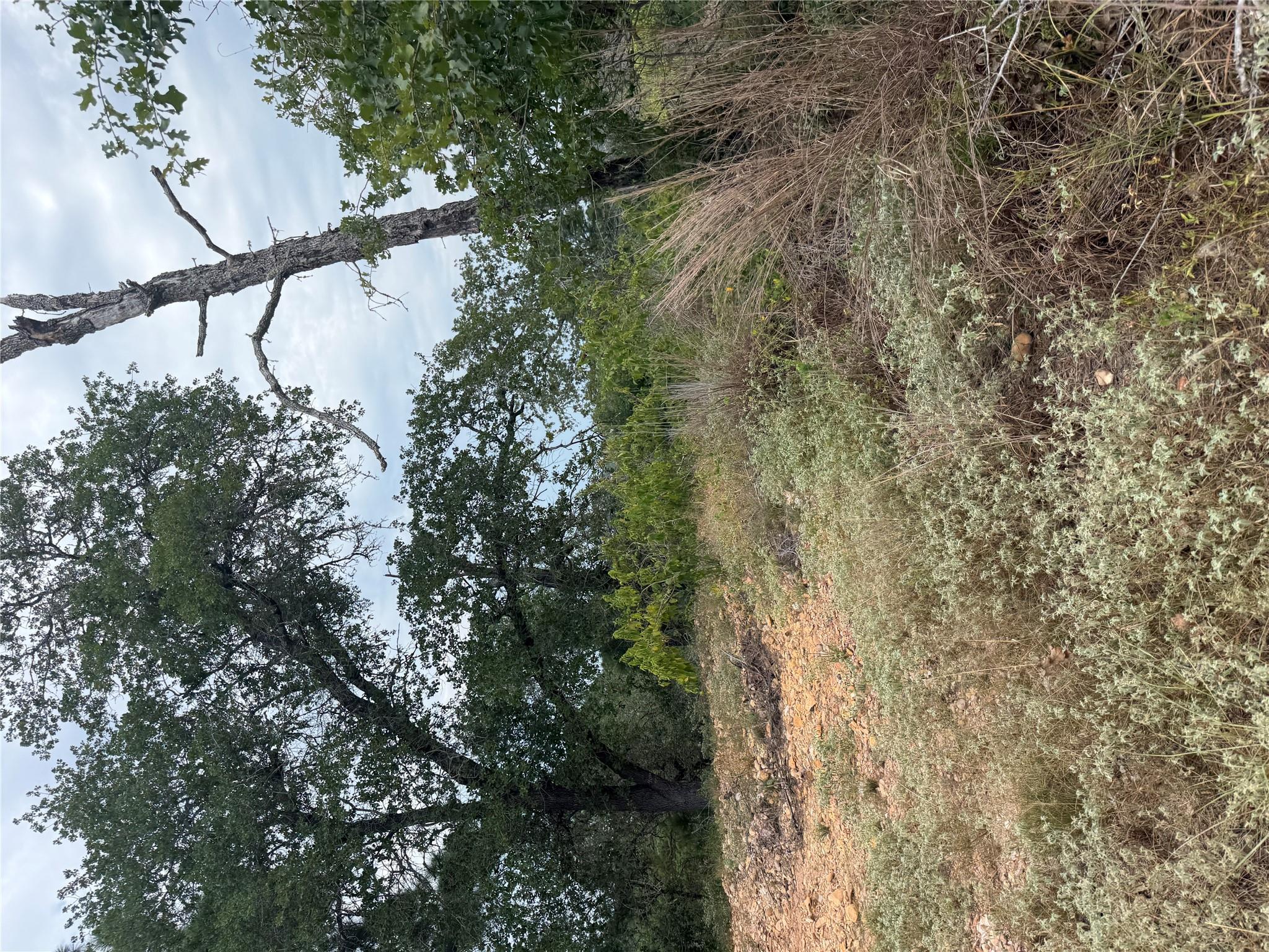 Lot 237 Kaelupulu DR — photo 3