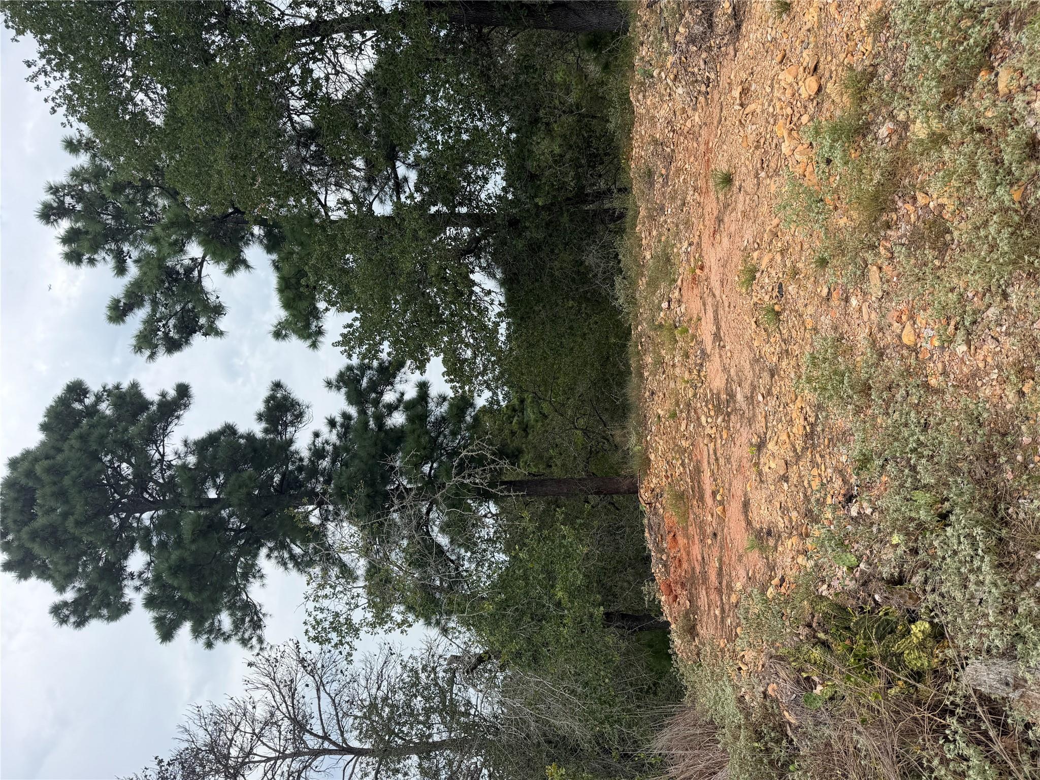 Lot 237 Kaelupulu DR — photo 4