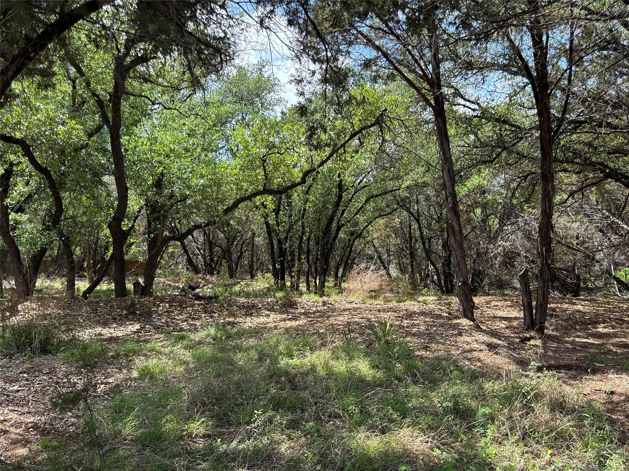 21501 Paseo De Vaca ST — photo 4