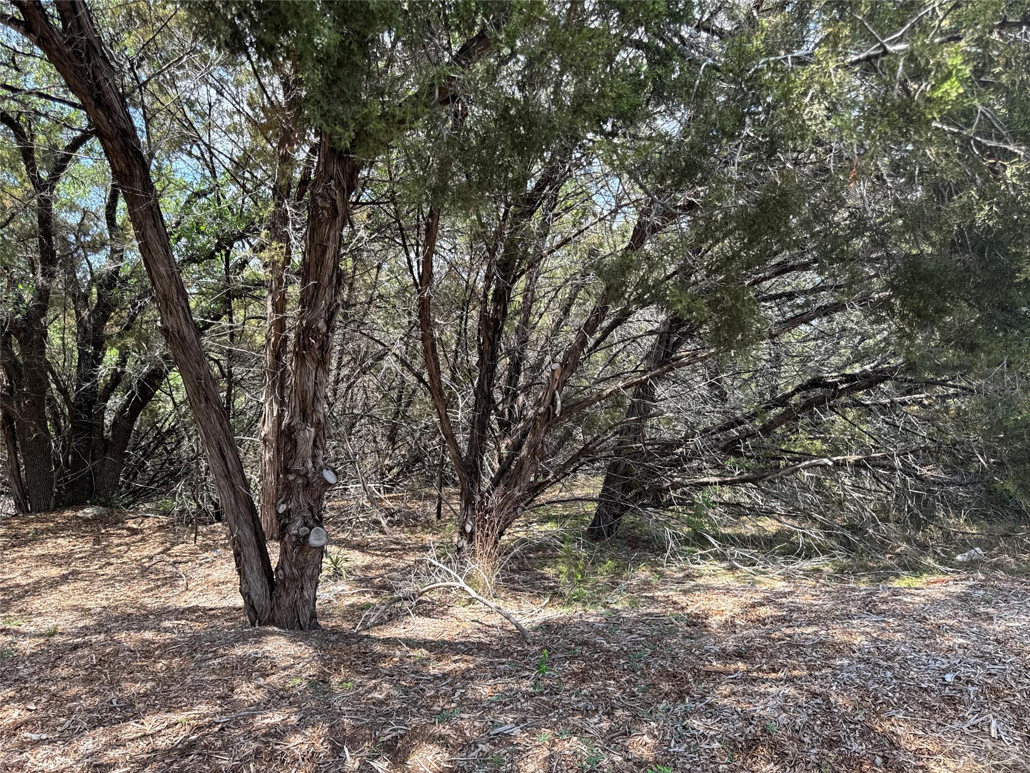 21501 Paseo De Vaca ST — photo 5