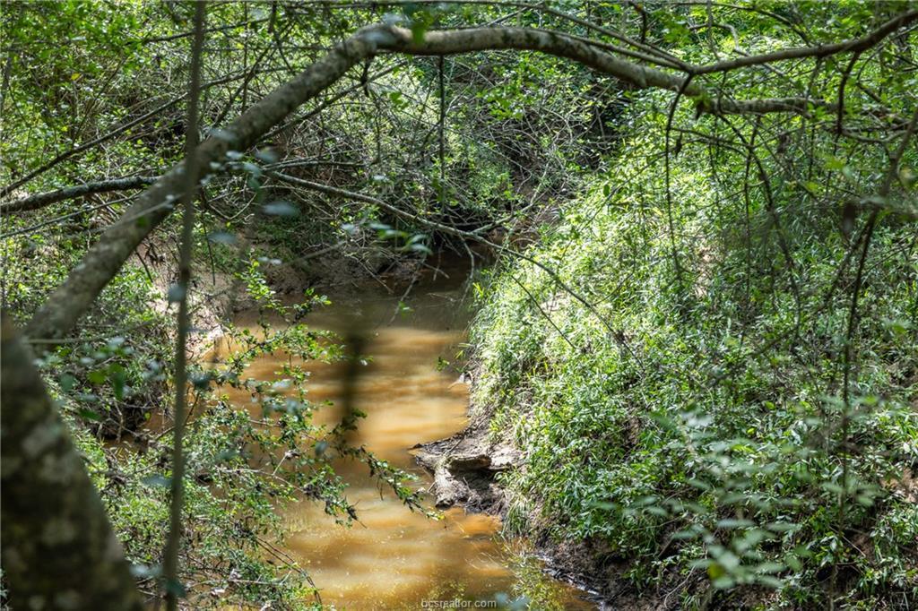 TBD Weber RD — photo 4