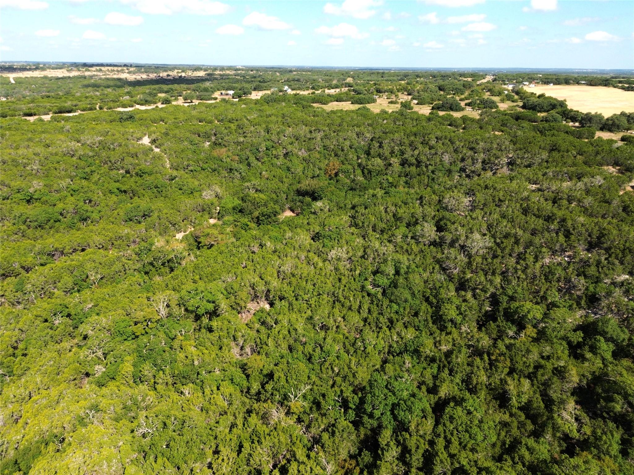 8415 Fm 1174 — photo 3