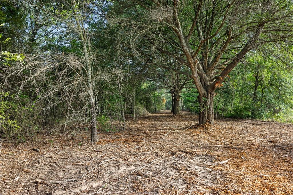 5163 County Road 358 RD — photo 3