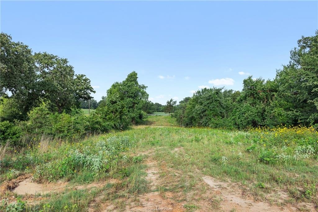 5163 County Road 358 RD — photo 4