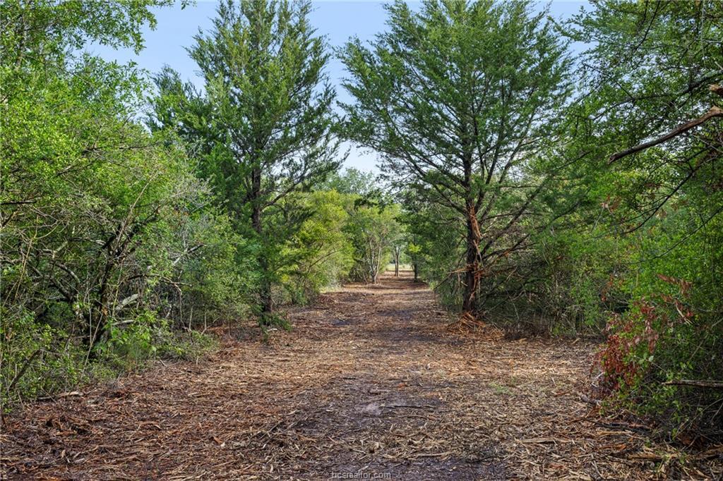 5163 County Road 358 RD — photo 5