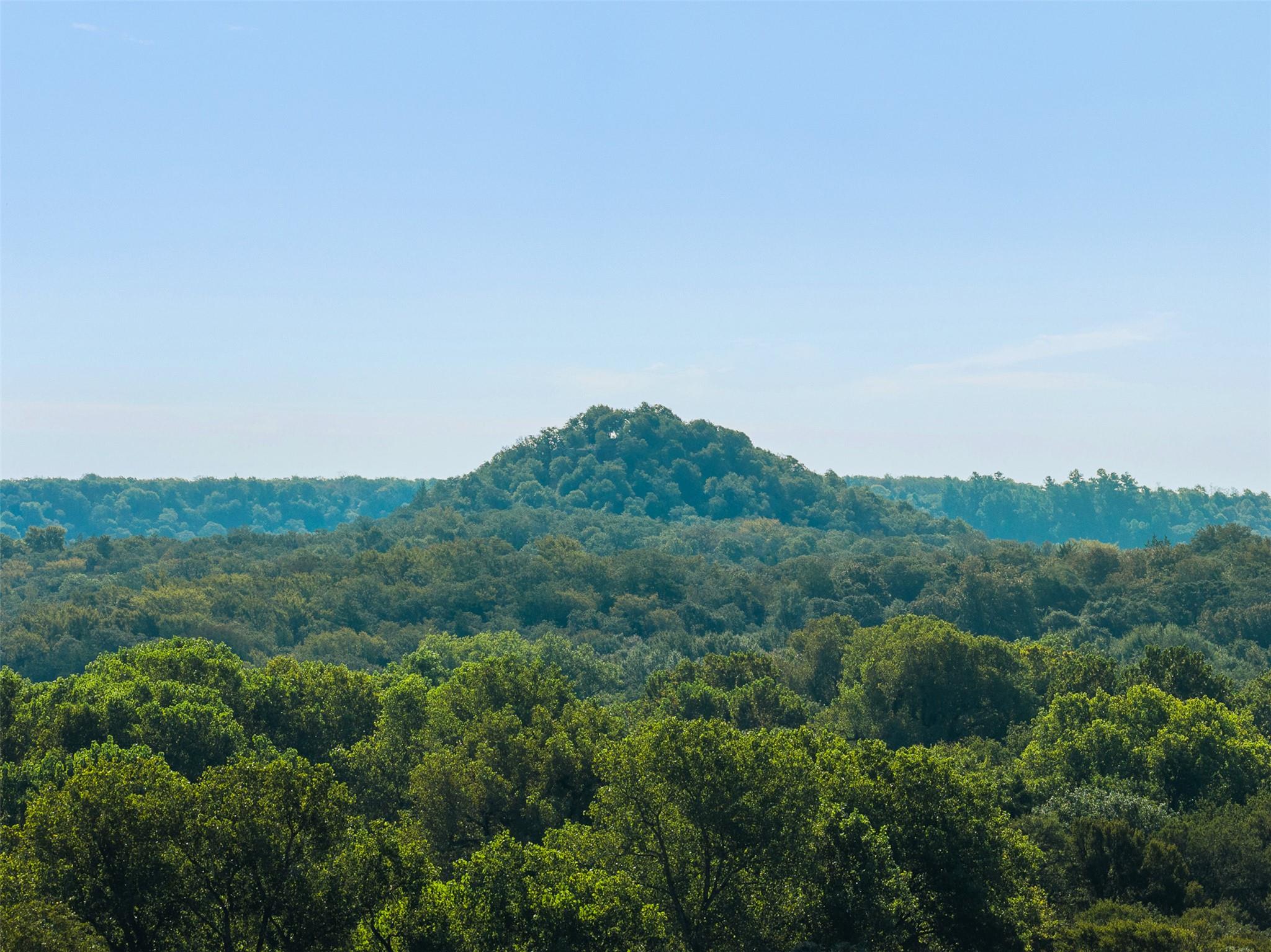 11789 FM 2095 — photo 4
