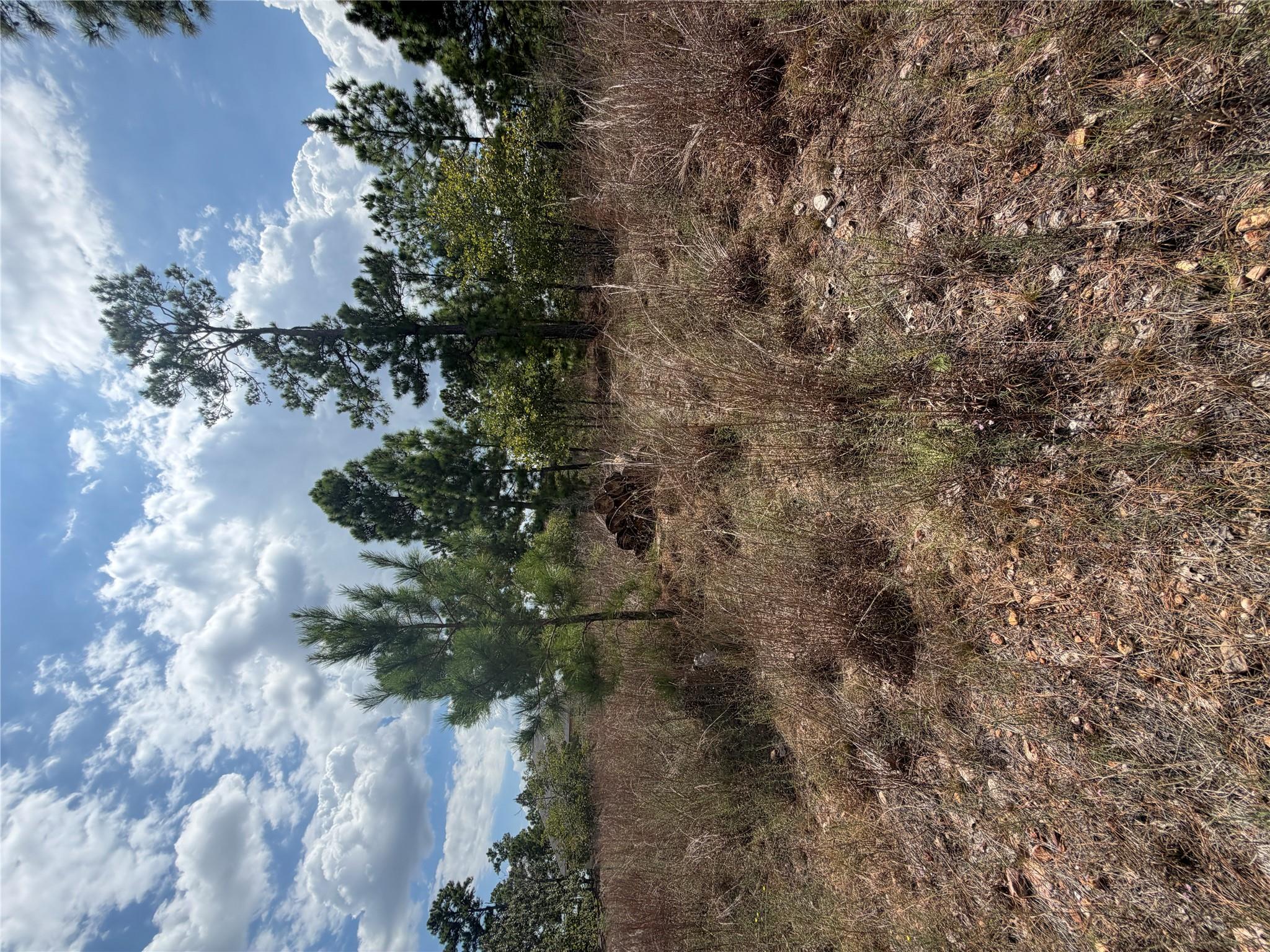 Lot 1189 Awehi LN — photo 3