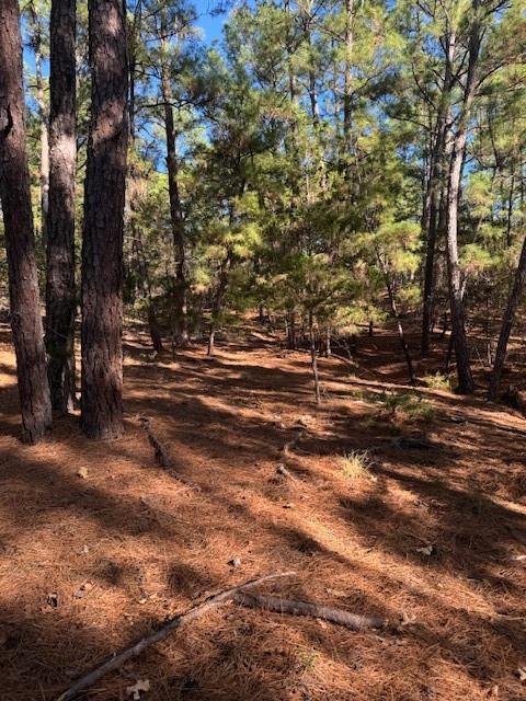 Lot 1395 Kaupa CT