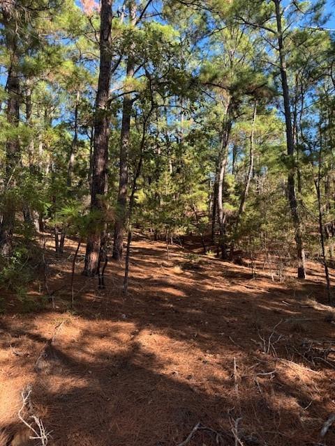 Lot 1395 Kaupa CT — photo 3
