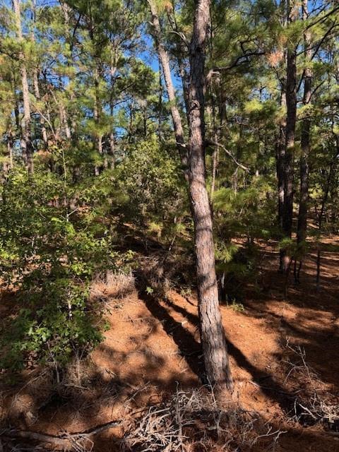 Lot 1395 Kaupa CT — photo 4