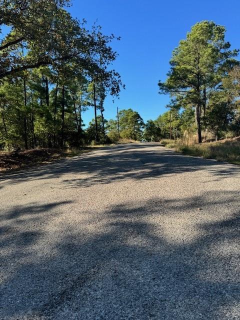 Lot 1395 Kaupa CT — photo 5