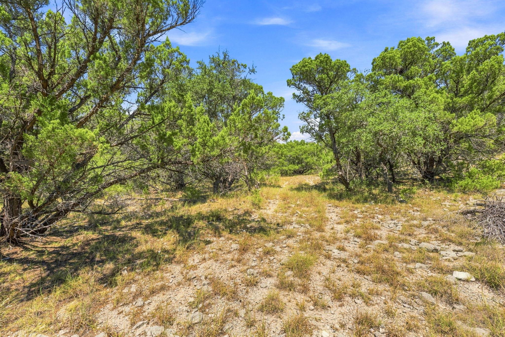 TBD 10.68 Ac Lipan RUN — photo 4