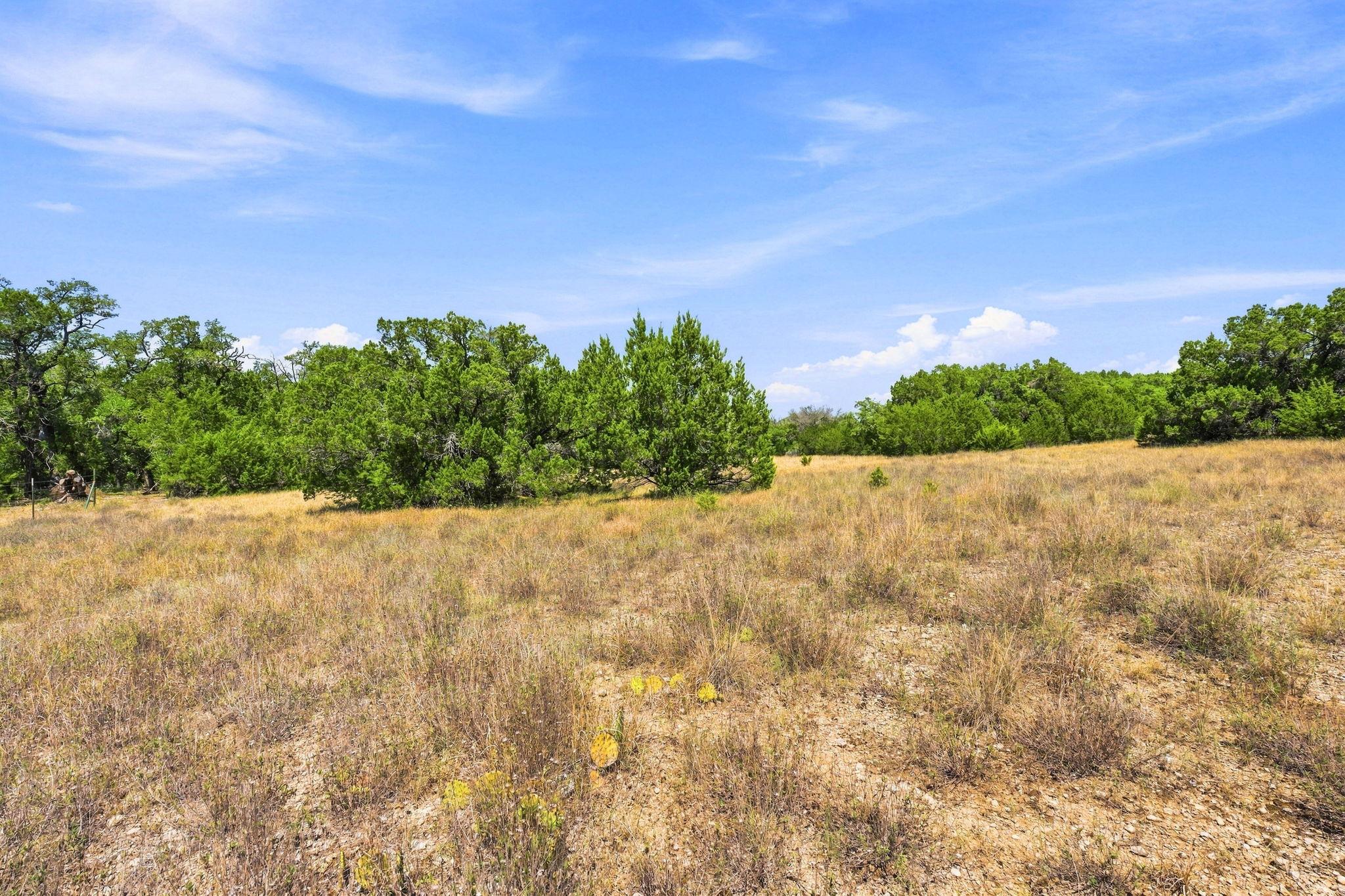TBD 22.5 Ac Lipan RUN — photo 4