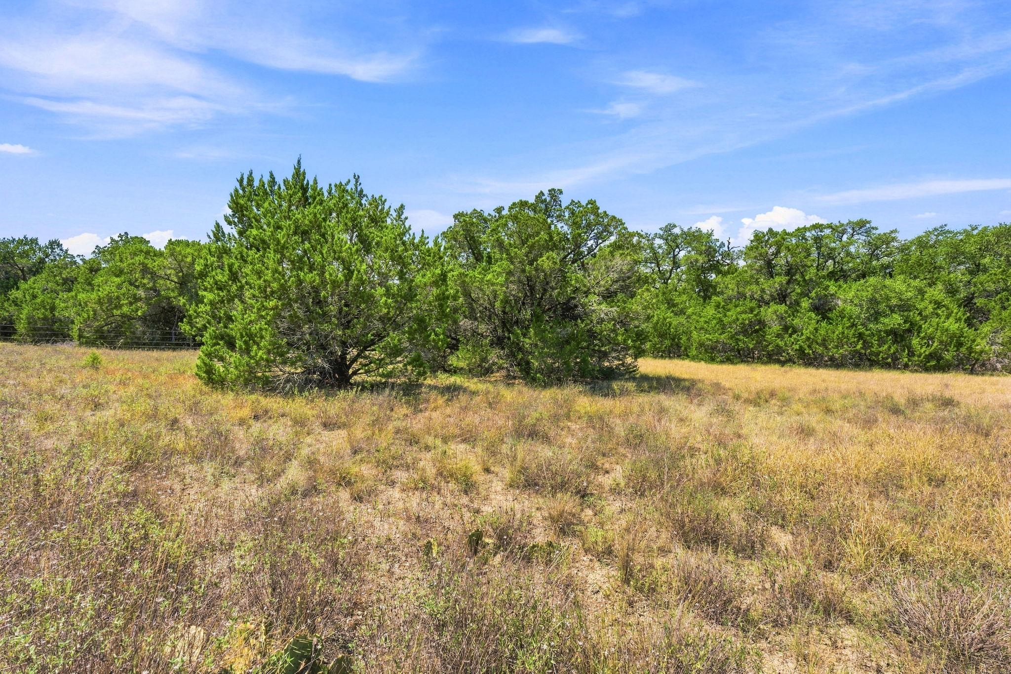 TBD 22.5 Ac Lipan RUN — photo 5