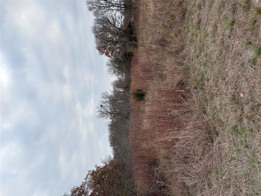 TBD James Craft Road James Craft RD — photo 3