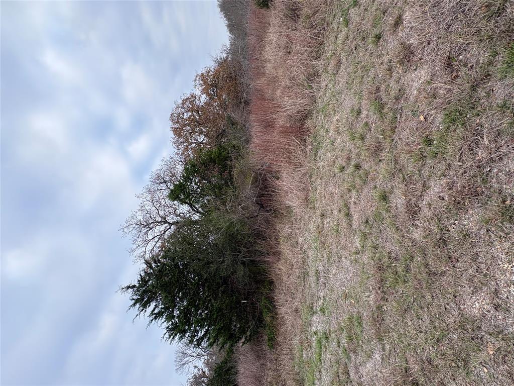 TBD James Craft Road James Craft RD — photo 4