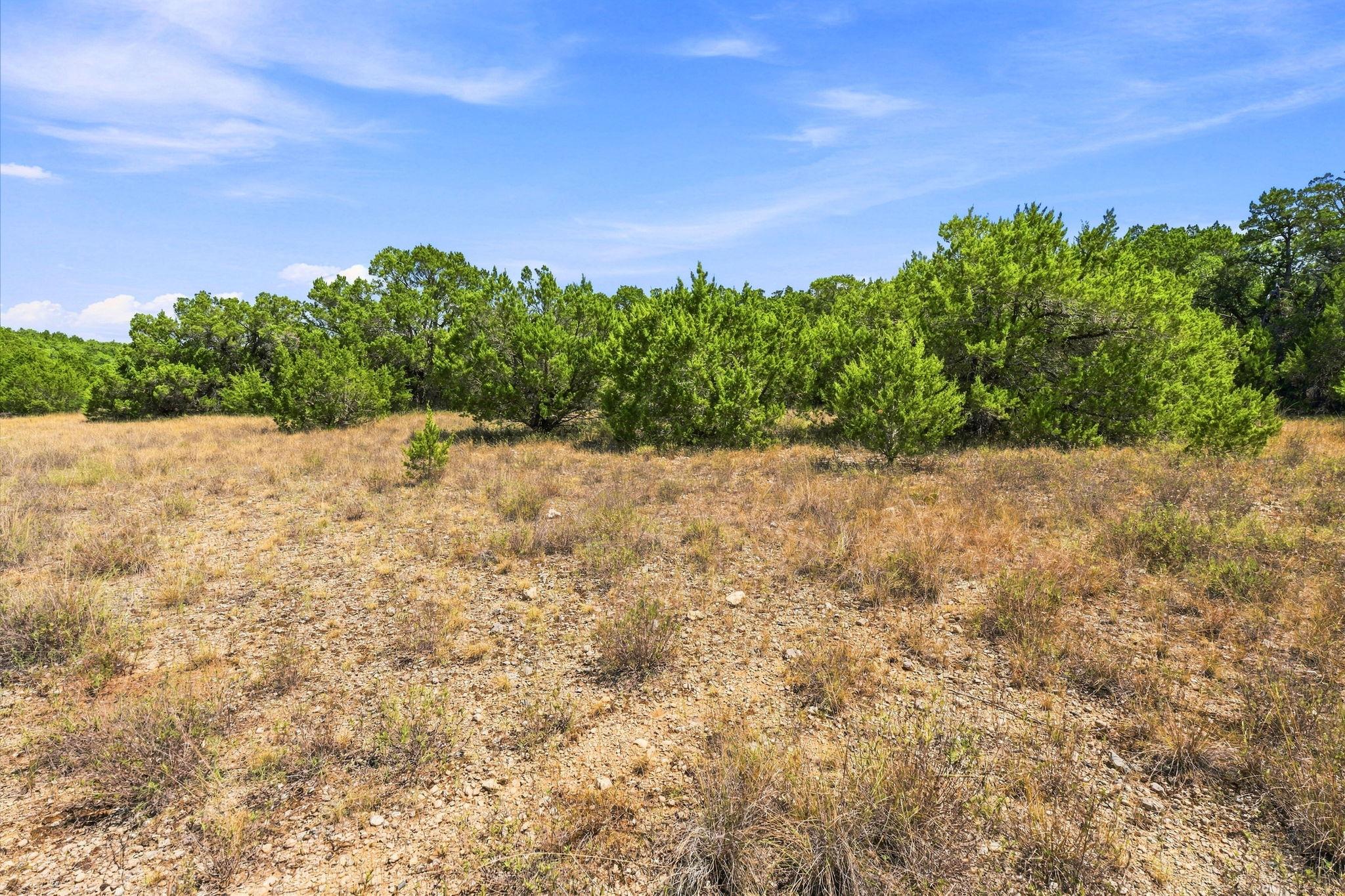 TBD Lot 2 Lipan RUN — photo 4