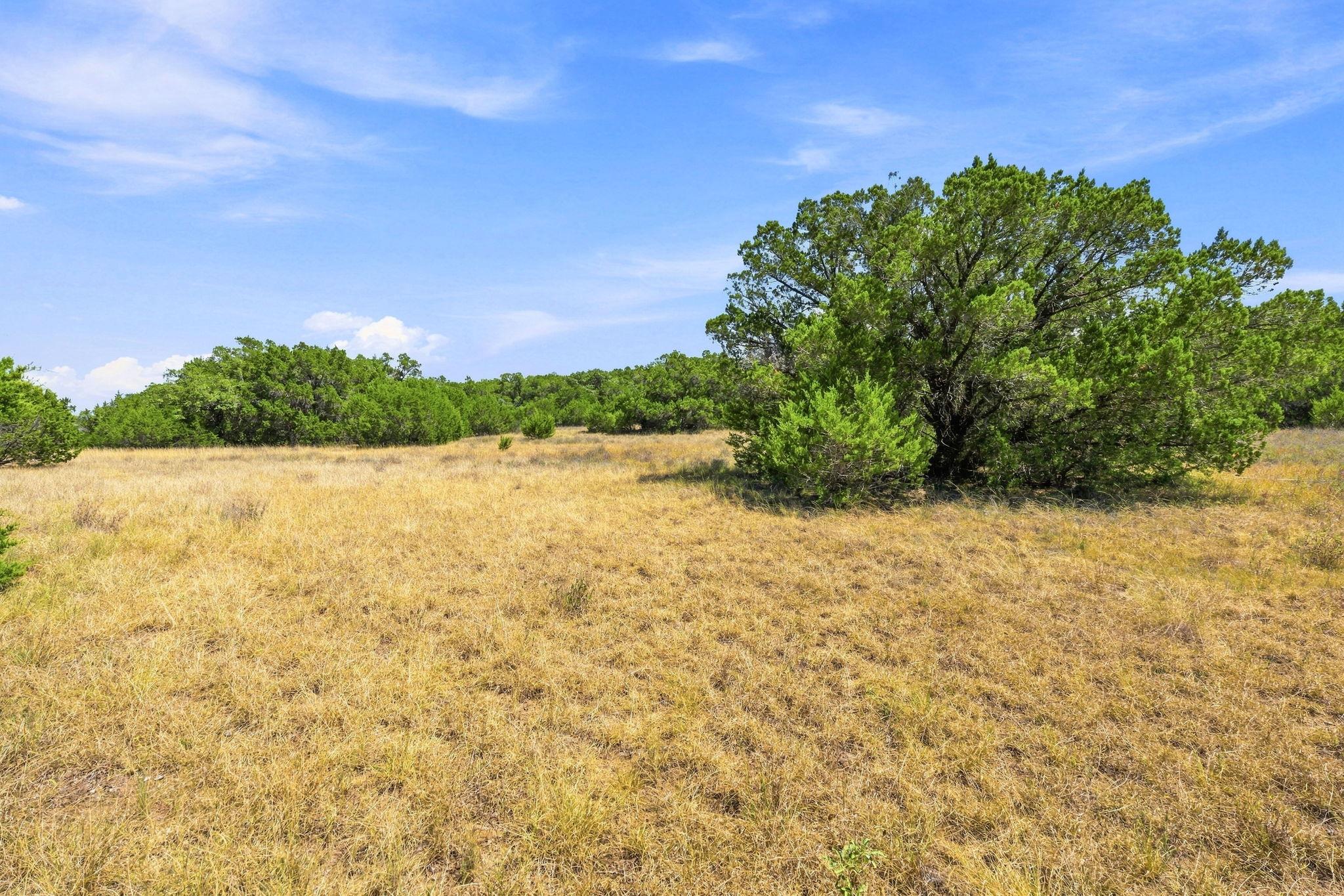 TBD Lot 2 Lipan RUN — photo 5