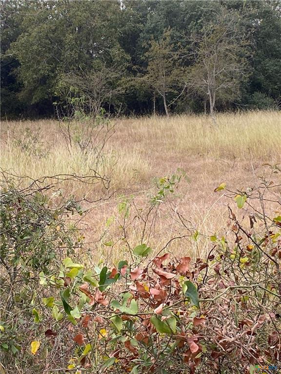 TBD County Road 405 — photo 3