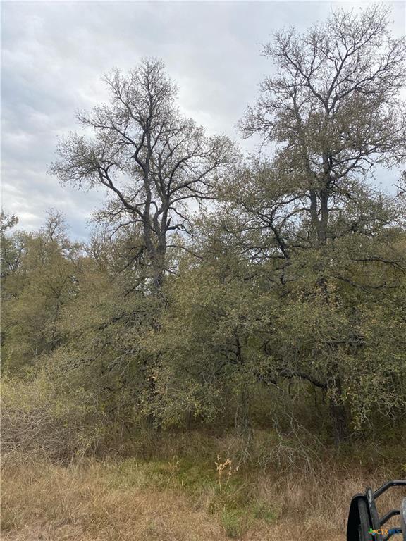 TBD County Road 405 — photo 4