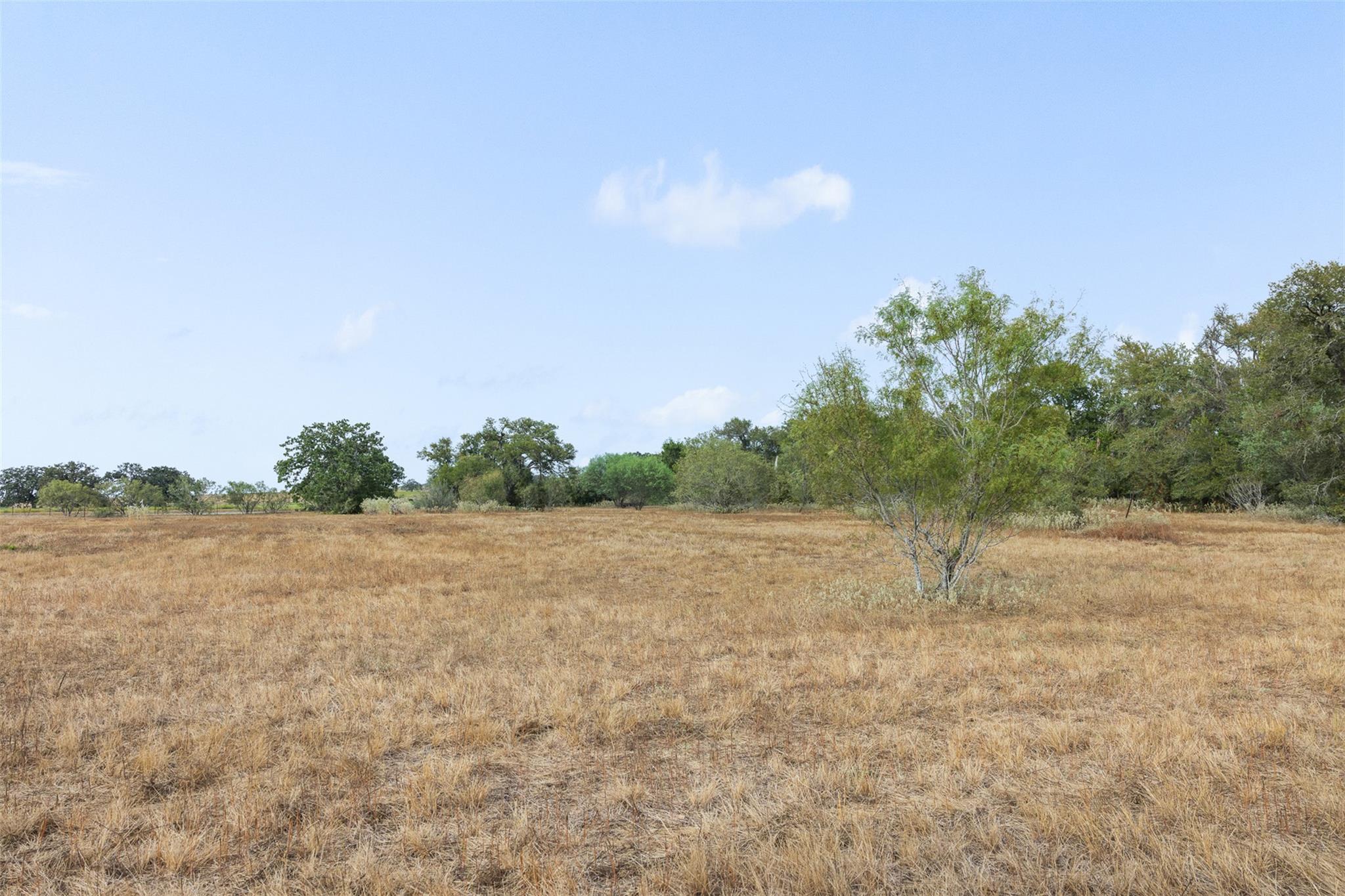 Lot 2 FM 713