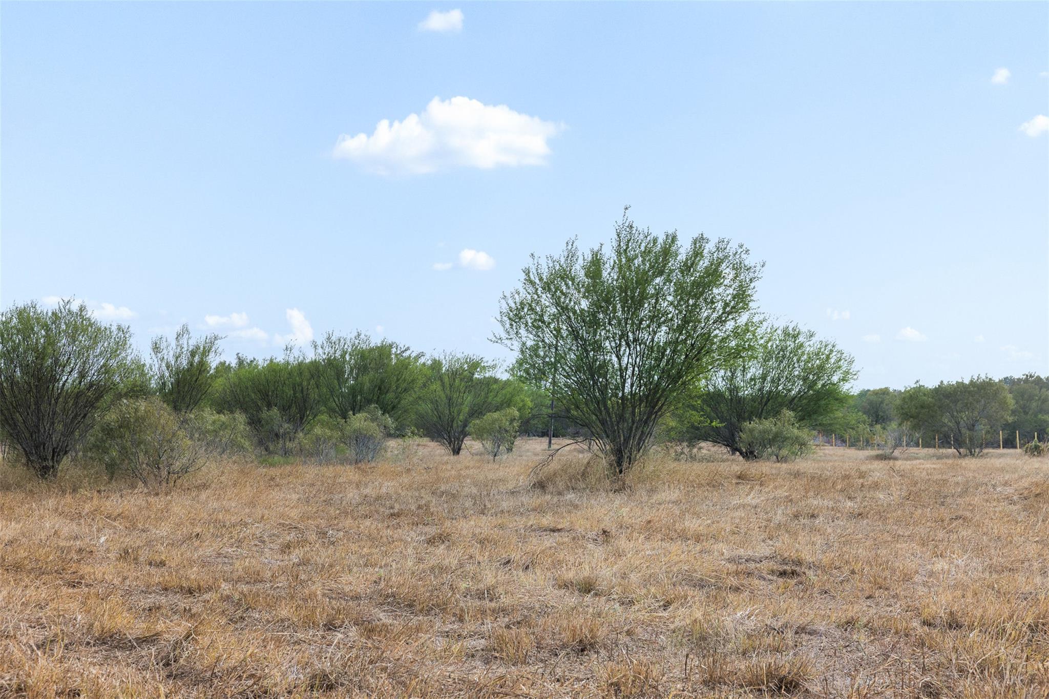Lot 2 FM 713 — photo 4