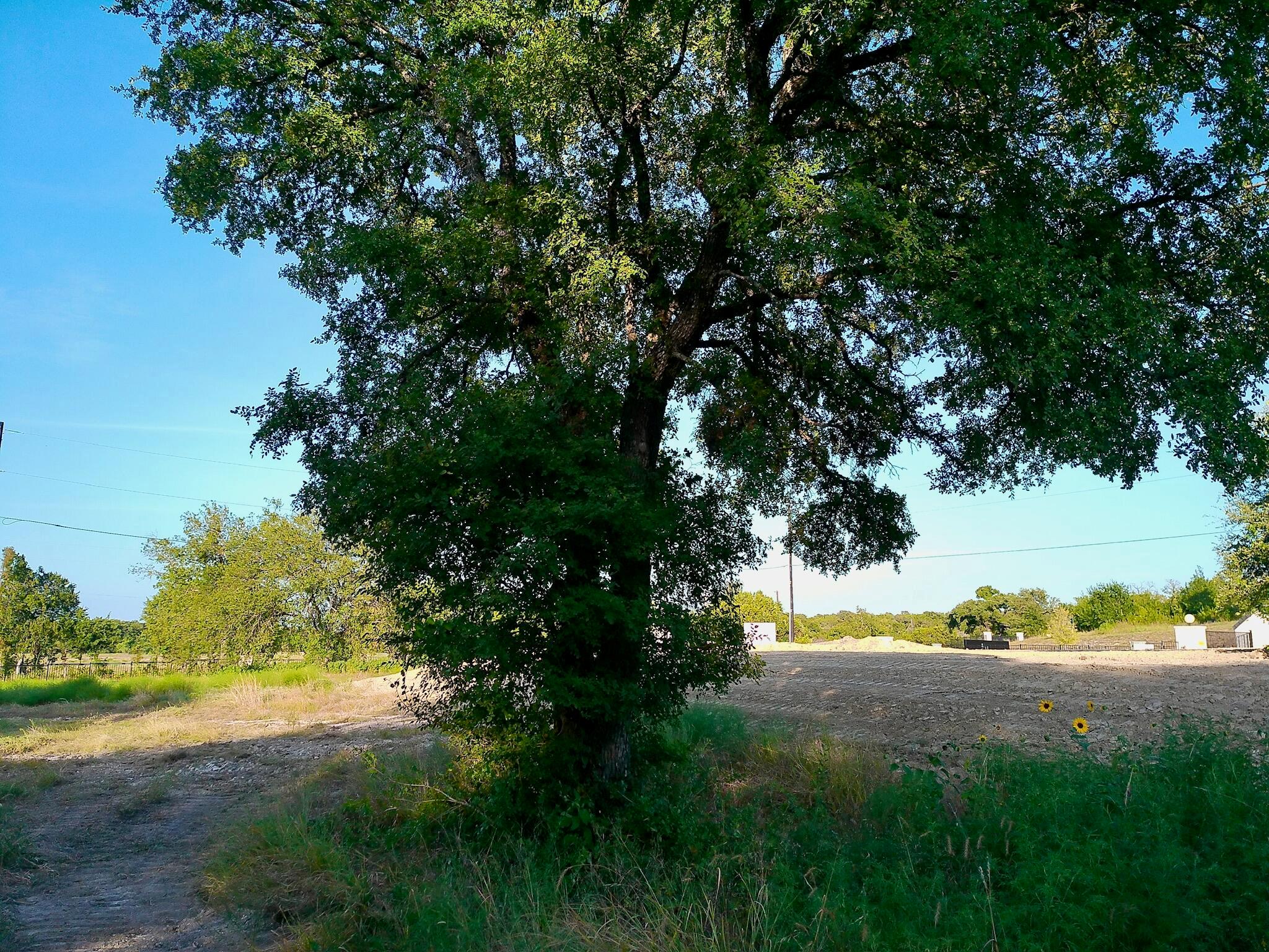 100 Serenity DR — photo 3