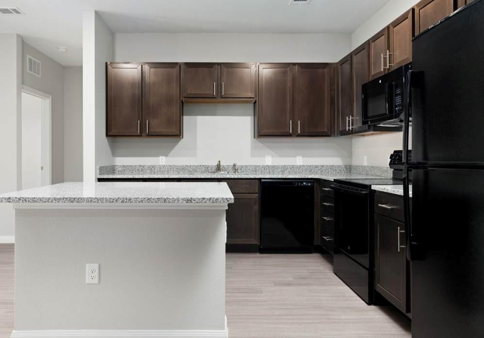 13411 FM812 RD #4103 — photo 4