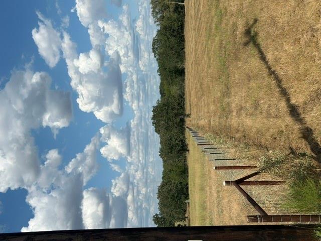 114 Sunny Day DR — photo 3