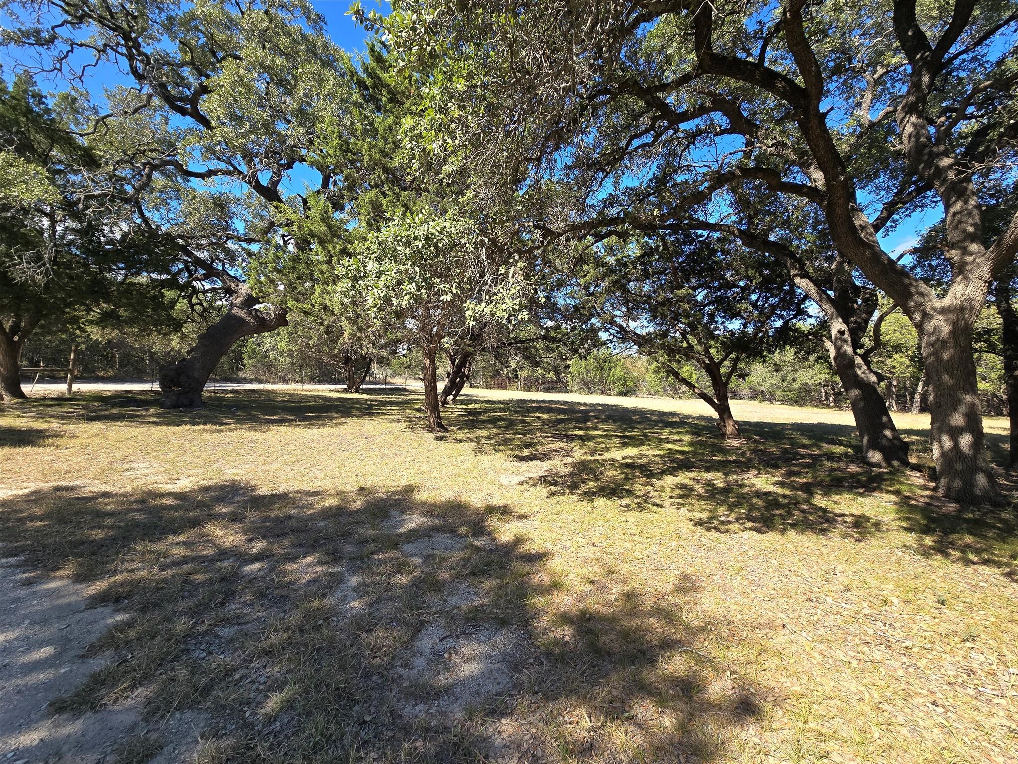 351 Live Oak TRL