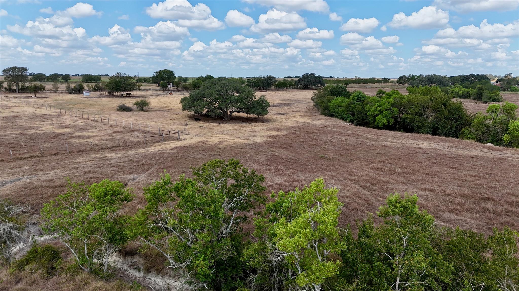 Tract 3 County Road 366