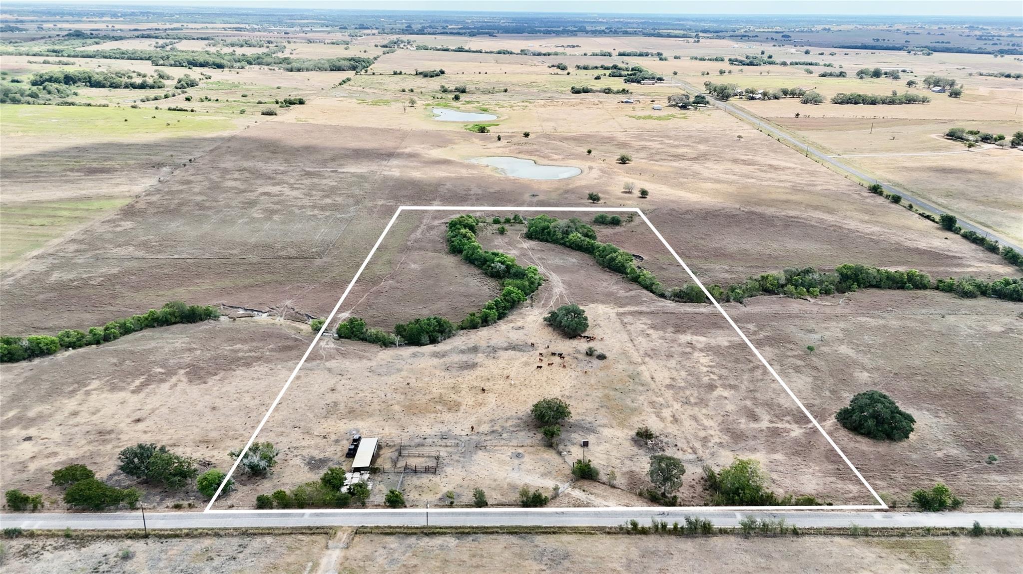 Tract 3 County Road 366 — photo 4
