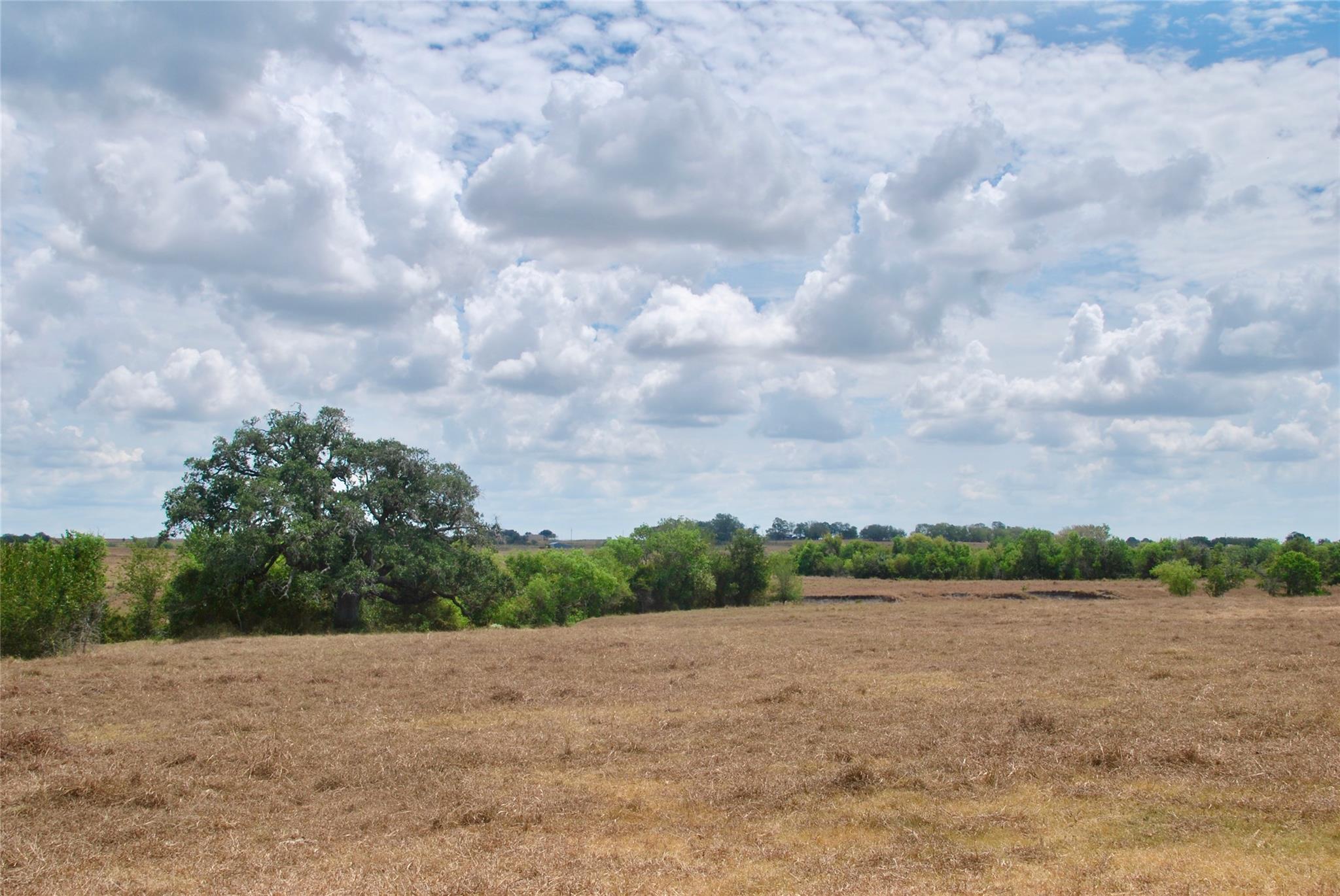 Tract 4 County Road 366 — photo 4