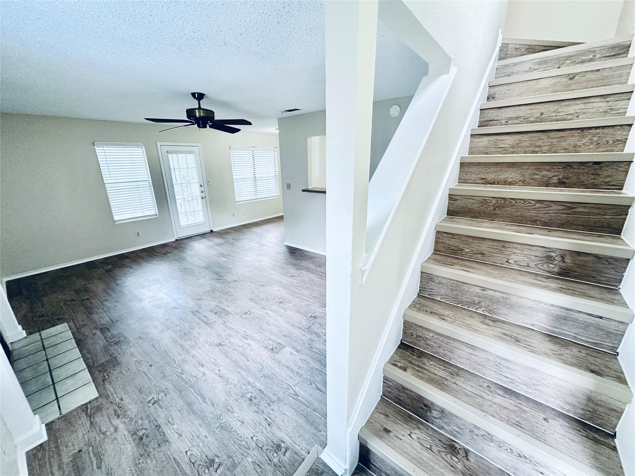 379 Fantail LOOP #B — photo 3