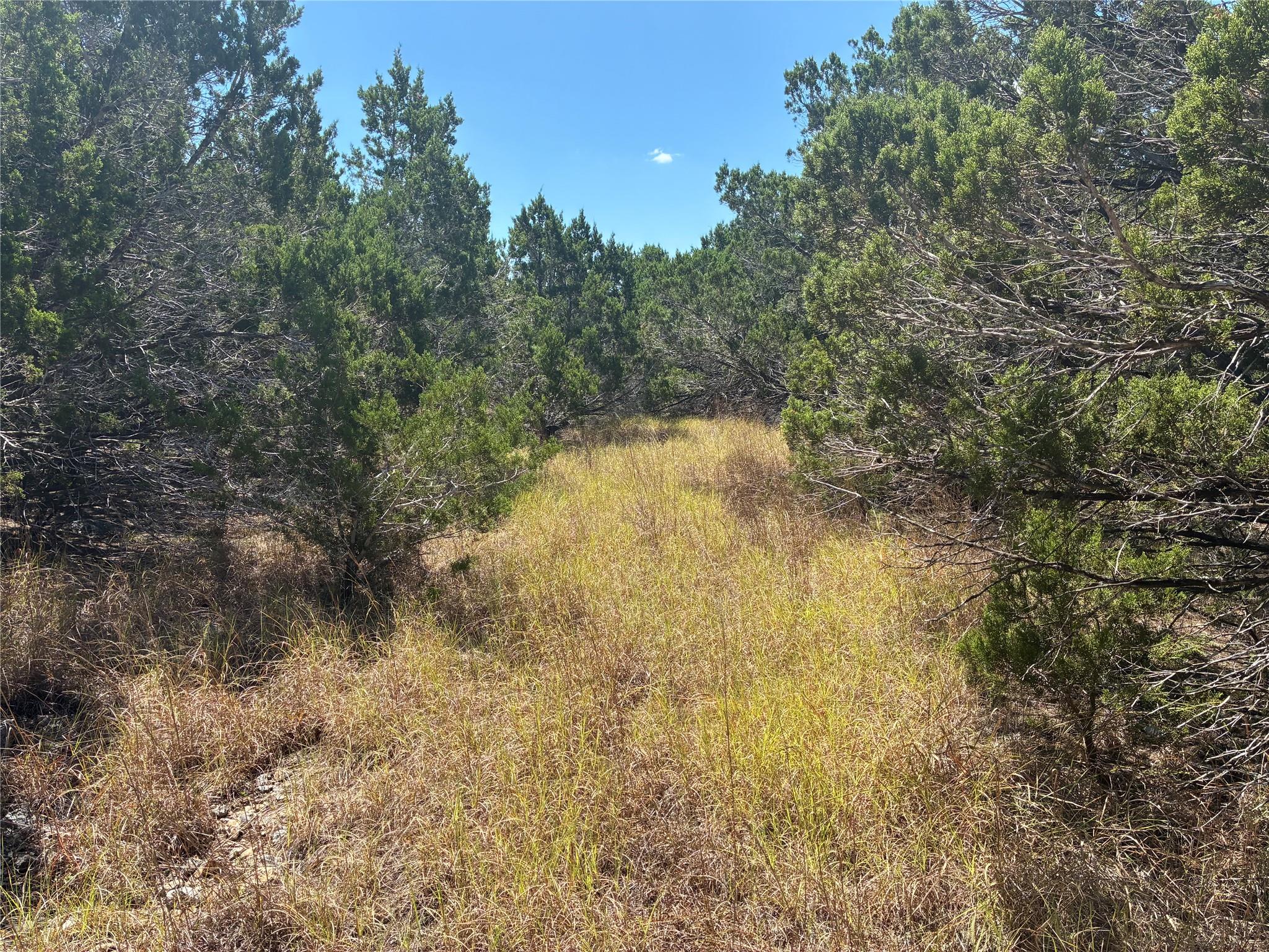 317 Headwaters Ranch RD — photo 3