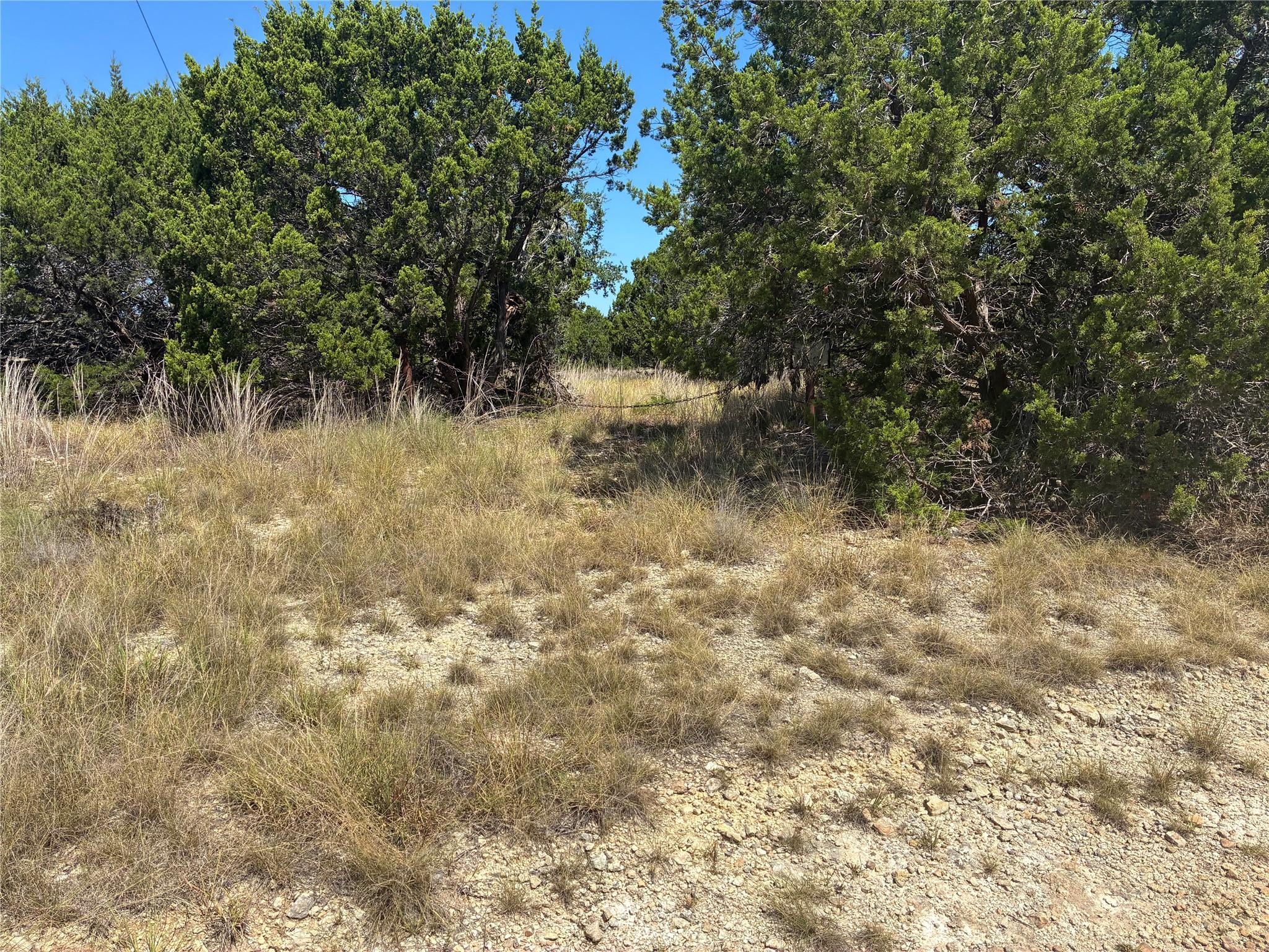 317 Headwaters Ranch RD — photo 5