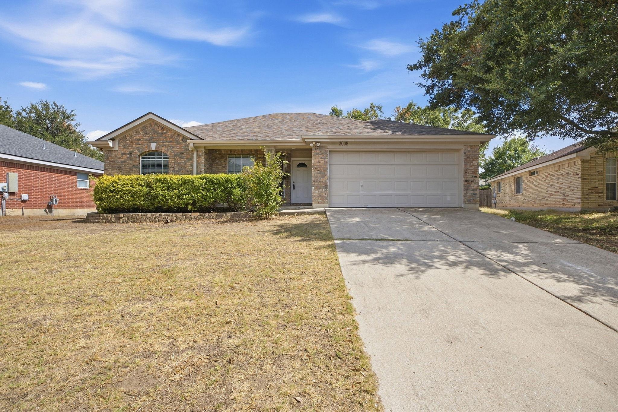 3005 Sugar Berry CV