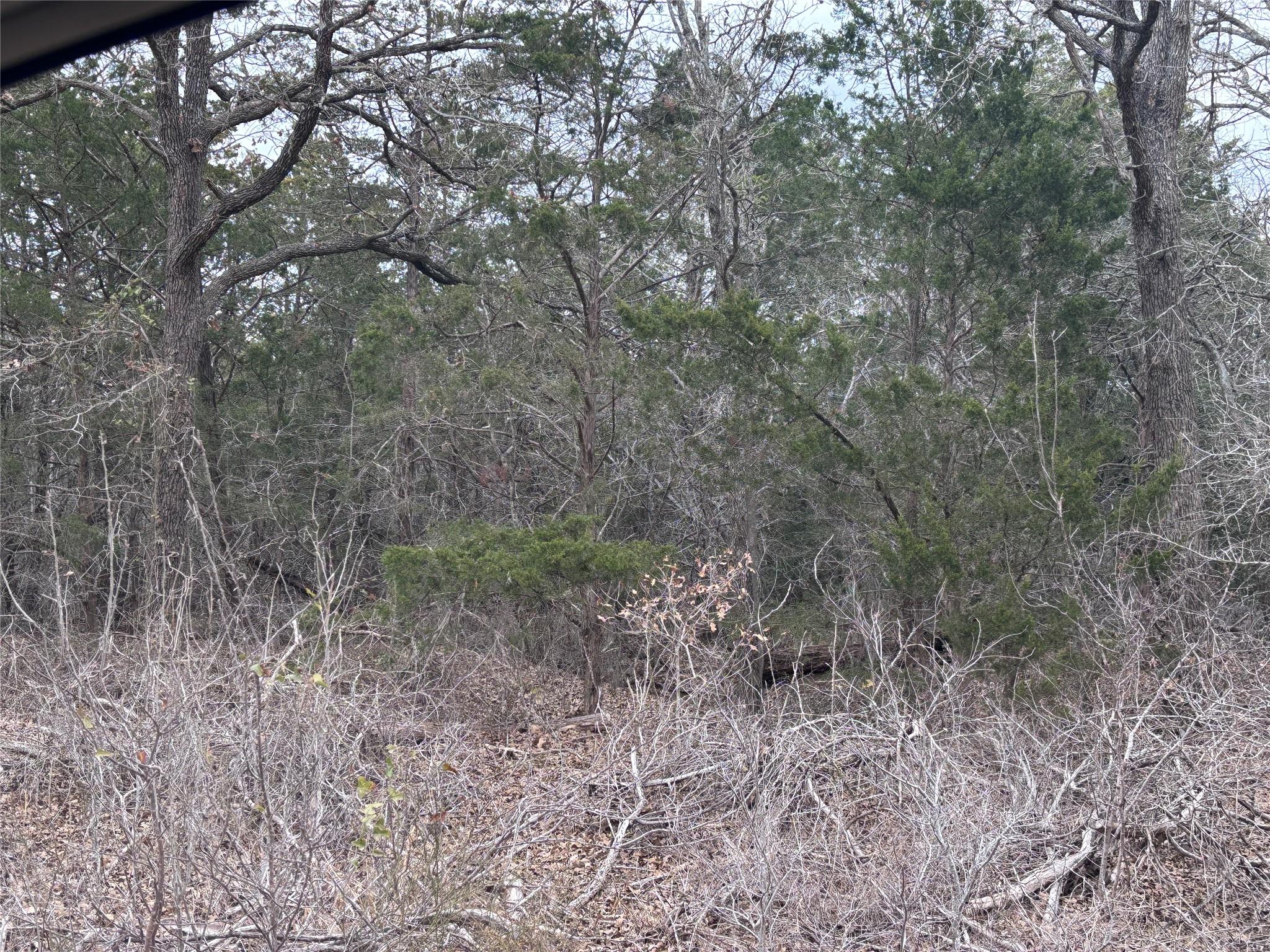 TBD Pearson RD — photo 3