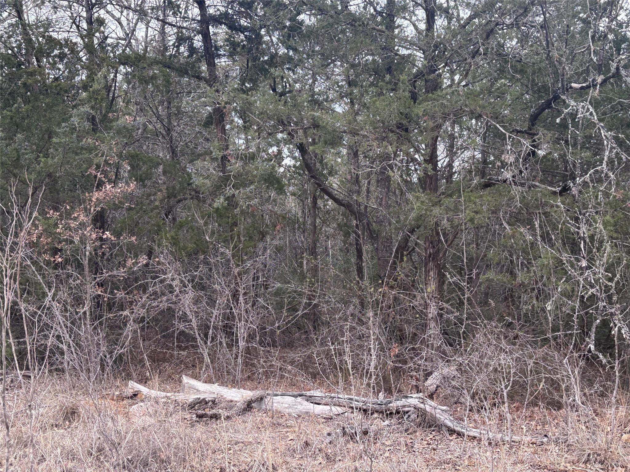 TBD Pearson RD — photo 4