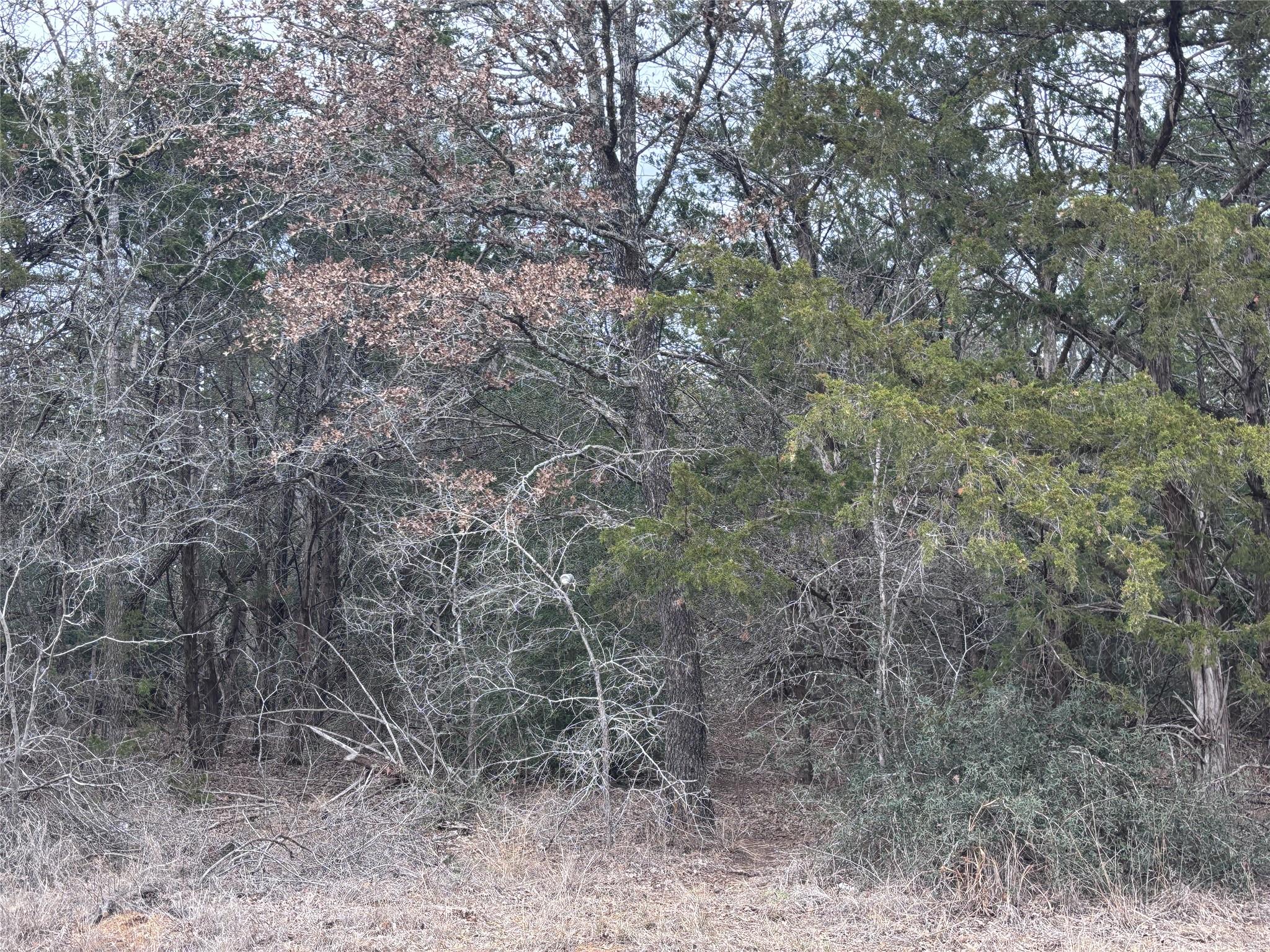 TBD Pearson RD — photo 5