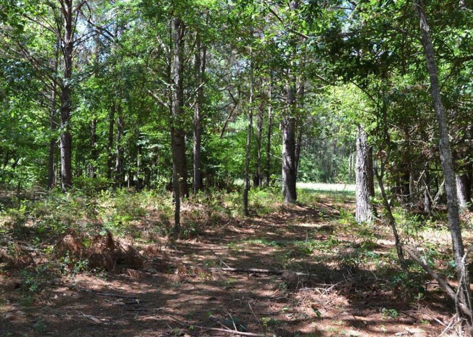TBD County Road 4025 — photo 4