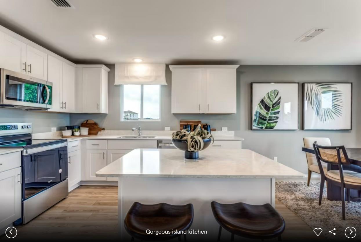 5217 Monarda Mint DR — photo 4