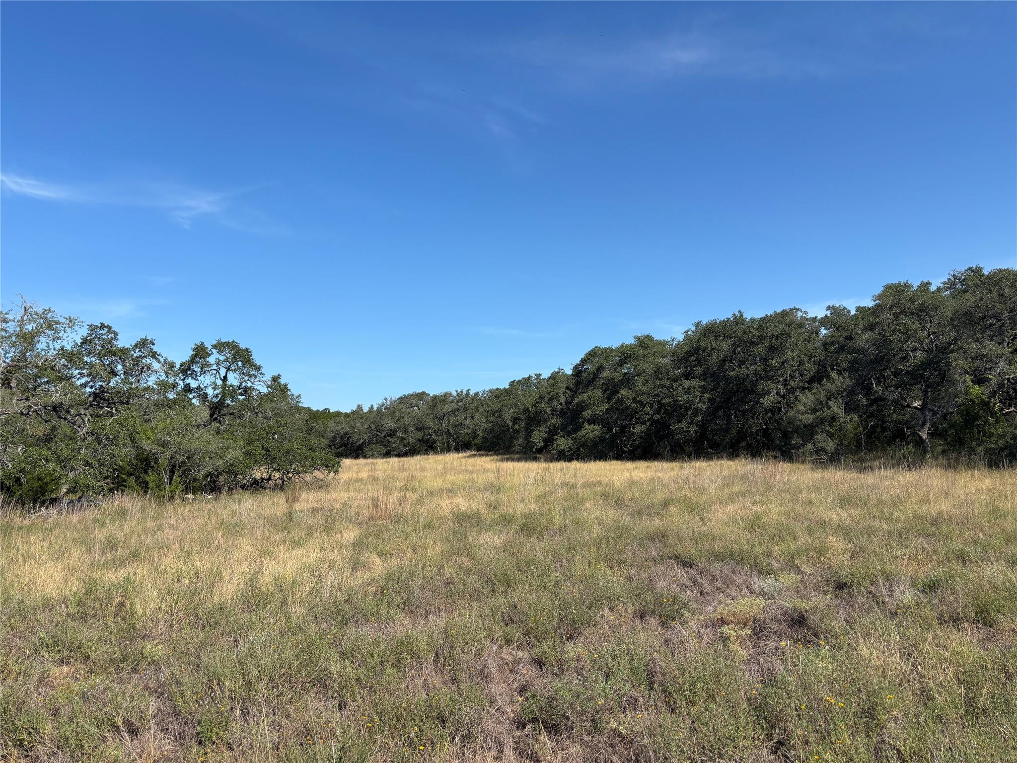 955 Upper Balcones RD — photo 3