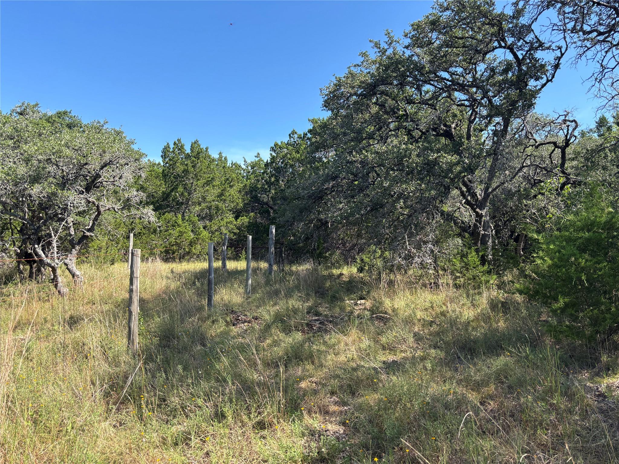 955 Upper Balcones RD — photo 4