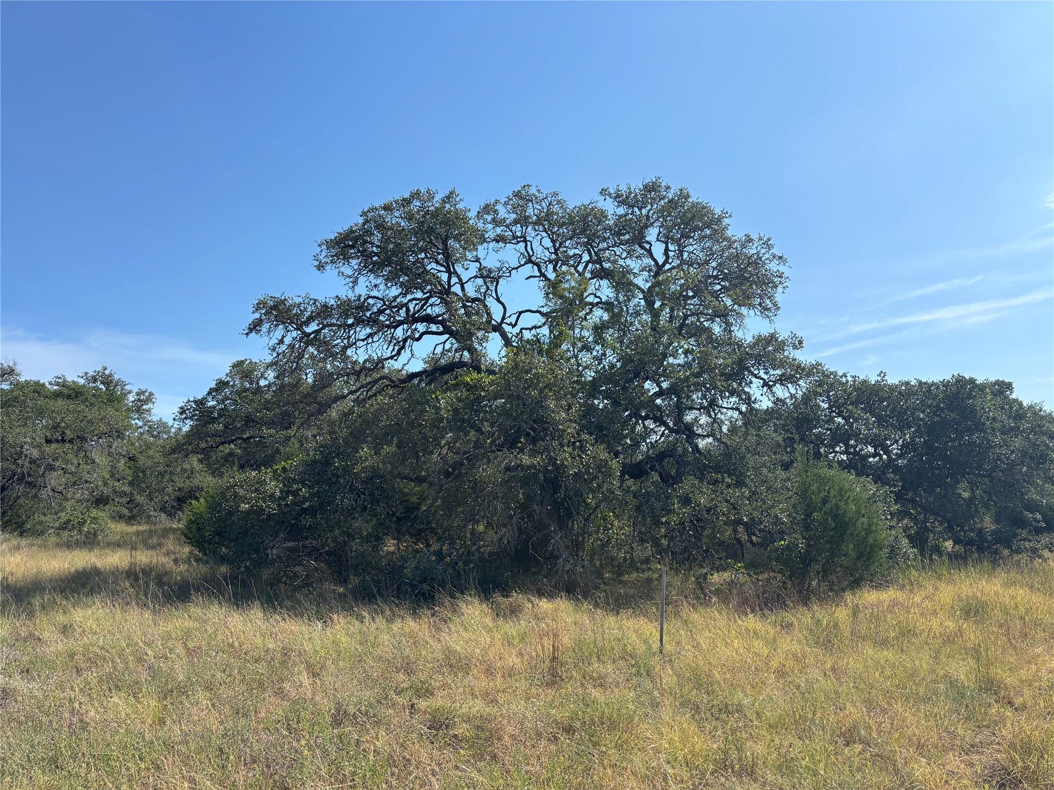 955 Upper Balcones RD — photo 5