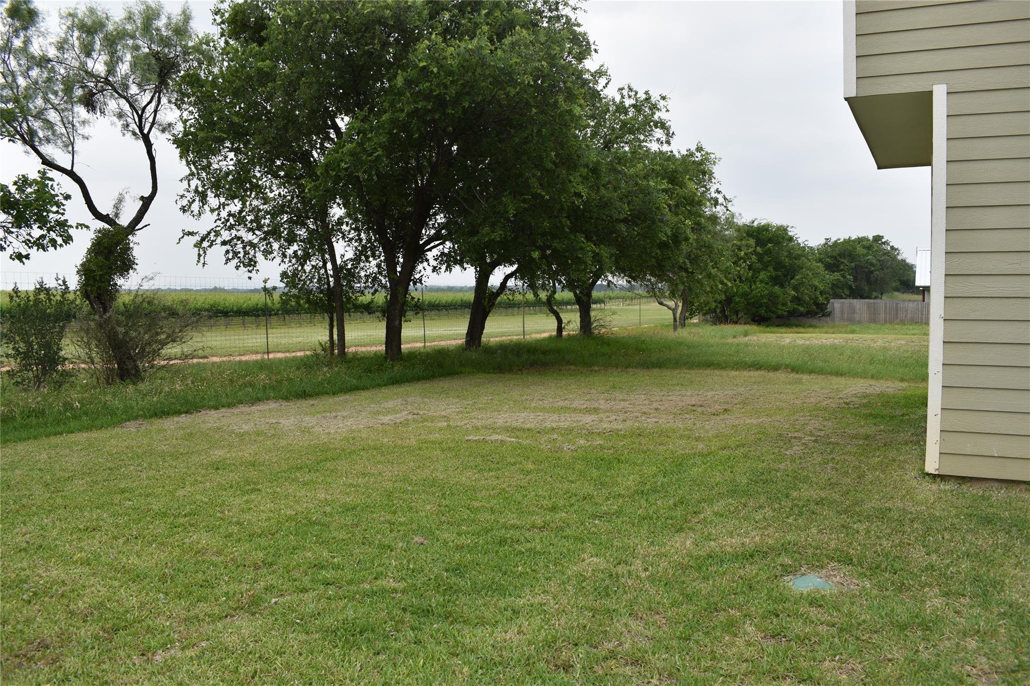 1559 County Road 119 — photo 4
