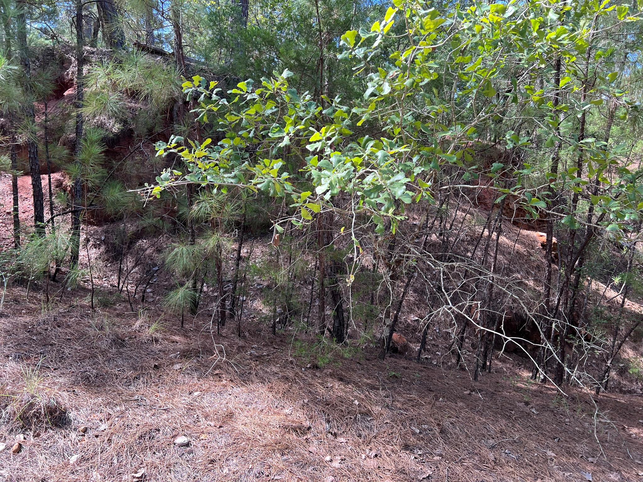TBD Okoe CT — photo 3