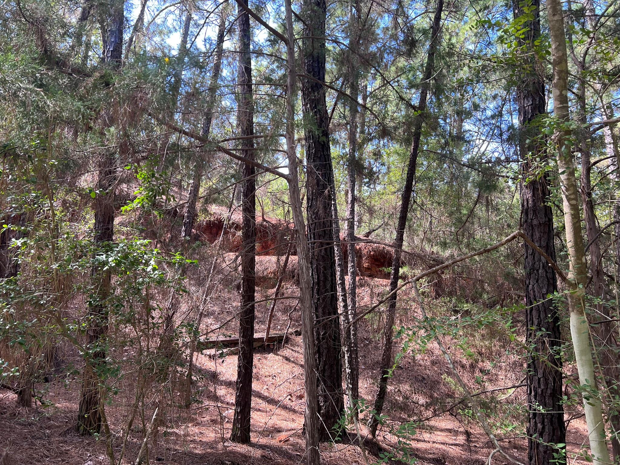 TBD Okoe CT — photo 4